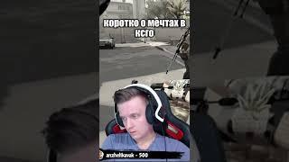 Мечта Фени в ксго #shorts #csgo #ксго