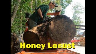 Giant Honey Locust on the sawmill