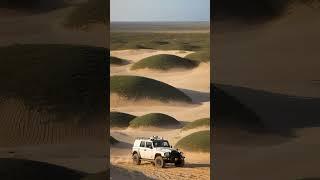 Capturing Wildlife Wonders A Day in the Diverse Ecosystems of Dunes