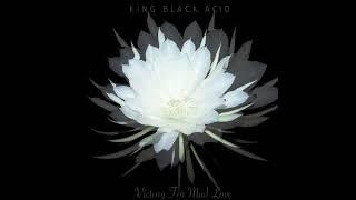 King Black Acid - Victory For Mad Love (Full Album)