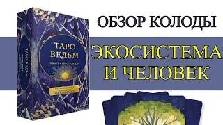  ОБЗОР ТАРО ВЕДЬМ / МУДРОСТЬ ВЕДЬМ