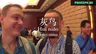 CHINA ASEAN EXPO, CAEXPO 2017 / Выставка Китай - страны Юго-Восточной Азии