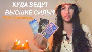 ️️КУДА ВЕДУТ ВАС ВЫСШИЕ СИЛЫ?️️#будущиймужтаро #мужчинанапорогетаро #личныераскладытаро