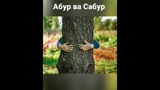 Абур & Сабур . Стих со смыслом.