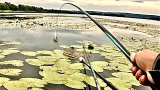 Карасі гнуть удочку. Риболовля з човна. Кийлів, рибалка в дощ