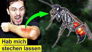 So heftig ist Deutschlands schmerzhaftester Insektenstich