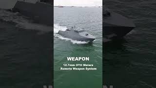 Nimble and Fast - The Combatant Craft Large