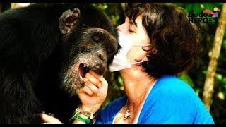 Loneliest Chimp on Earth Gets a Friend | Dodo Heroes