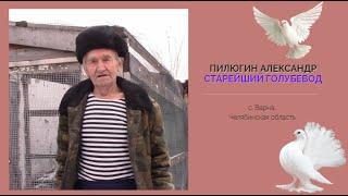 Пилюгин Александр Петрович / Старейший Варненский голубевод