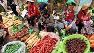 Yunnan's WILDEST Food Market: Exotic Flavors, Rare Meats & MORE (Kunming, China) 【Alin Food Walk】