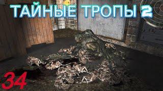 S.T.A.L.K.E.R.Тайные тропы 2 #34 Свихнувшийся профессор библиотекарь в Х-10 выползни болотные