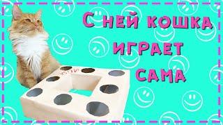 Игрушки для кошек / кормушка игрушка своими руками / game for cats