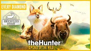 All 9 Diamonds on Hirschfelden 2023! | Diamond & Rare Montage - theHunter Call of the Wild