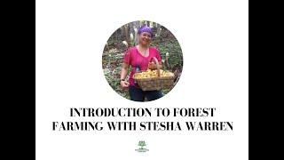 Introduction to Forest Farming with Stesha Warren