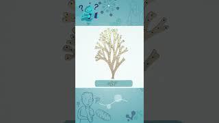 NCERT Diagram 22 #neet2024 #neetbiology #ncertdiagram #biologydiagram #aiims #neetshorttricks