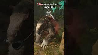 How to FARM Chitin in ARK : Survival Ascended ?