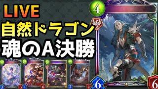 【神回】最強自然ドラゴンでグランプリ優勝するぞおおおおお！！【shadowverse /シャドウバース/シャドバ】