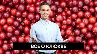 В ЧЕМ ПОЛЬЗА КЛЮКВЫ?