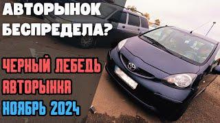 Авторинок свавілля ? Чорний лебідь Листопад 2024