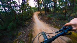 Ultimate Flow!! Wildcat Trail - Jordie Lunn Bike Park!