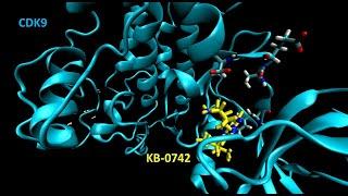 NanoMining Cyclin-Dependent Kinase 9 with KB-0742 Using Molecular Dynamic Simulations
