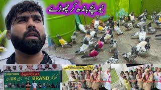 New Bachay Bandh Kr Choray || Khokhar Pigeons Club