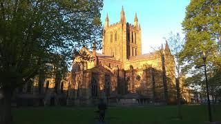 ELGAR Salut d'amour - played by Peter Dyke at Hereford Cathedral