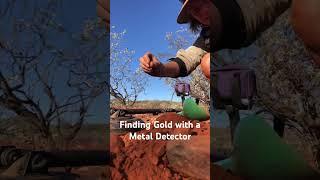 The early bird gets the gold ️ #goldprospecting #goldnugget #metaldetecting