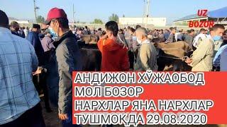 АНДИЖОН ХЎЖАОБОД МОЛ БОЗОР 29.08.2020