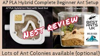 Best Ants UK - A7 PLA Hybrid Nest   Complete Beginner Ant Setup -Review