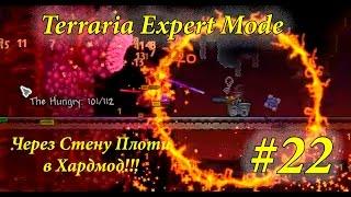 Terraria 1.3.2.1 Expert Mode  #22 Через Стену Плоти в Хардмод!!!