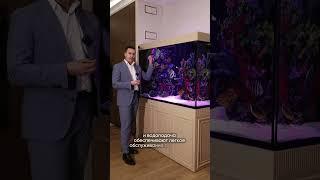 Морской аквариум индивидуального изготовления с автоматизированной системой обслуживания