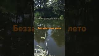 Беззаботное лето