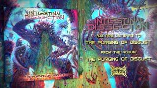 INTESTINAL DISSECTION - THE PURGING OF DISGUST [OFFICIAL LYRIC VIDEO] (2024) SW EXCLUSIVE