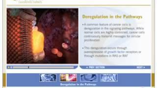 Nexavar | Mechanism of Action