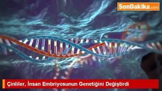 Çinliler, İnsan Embriyosunun Genetiğini Değiştirdi