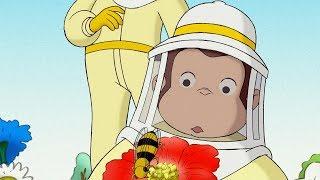 Curious George  1 Hour Compilation  English Full Episode  Videos For Kids