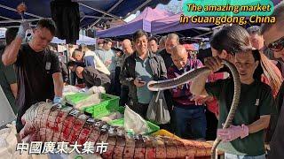 Amazing markets in Guangdong, China, rush to buy crocodile meat, snake meat, weird street food / 4k