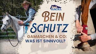 7(P)mal BESTER Beinschutz fürs Pferd: Boots, Gamaschen richtig anlegen | Bernd Hackl Horsemanship