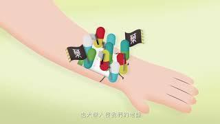 Plaster Animation (Mandarin) - Fan-made