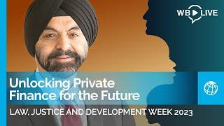 Unlocking Private Finance for the Future: A Conversation with Ajay Banga