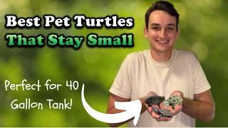 The Best Small Pet Turtles That Can Live in a 40 Gallon Tank