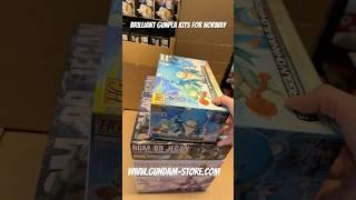 Brilliant Gunpla kits for Norway #gundam #gunpla #bandai #modelkit #hobby