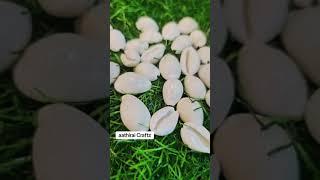 Natural Sozhi / Cowrie