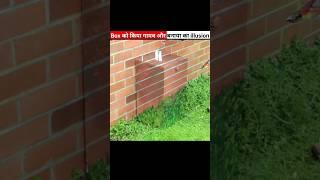 लकड़ी के  बॉक्स को किया गायब और बनाया गजब का illusion|#shorts @howardglee
