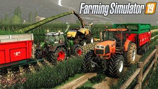 Farming Simulator 19 | Ultra Realistic | Corn silage in extreme conditions, cleaning cow stable