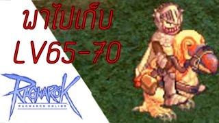 Ragnarok Online(ROEXE) ไปเวลที่ไหนดีนักดาบ LV65-70ในหนึ่งวัน ไม่ปั้มไม่เทพทรูเล่นแบบเดิมๆ(EXP x1.5)