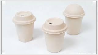 Hanson pulp molding machine for cup and cup lids