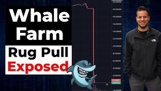 EXACTLY How I Predicted - Whale Farm Finance Rug Pull Exposed