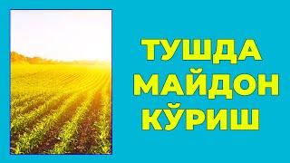 Туш табири - Тушда Майдон куриш